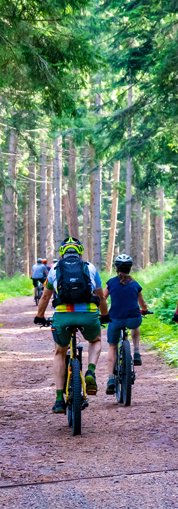 Das Radeln neu gelernt im Wald